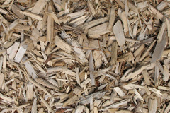 biomass boilers Pengold